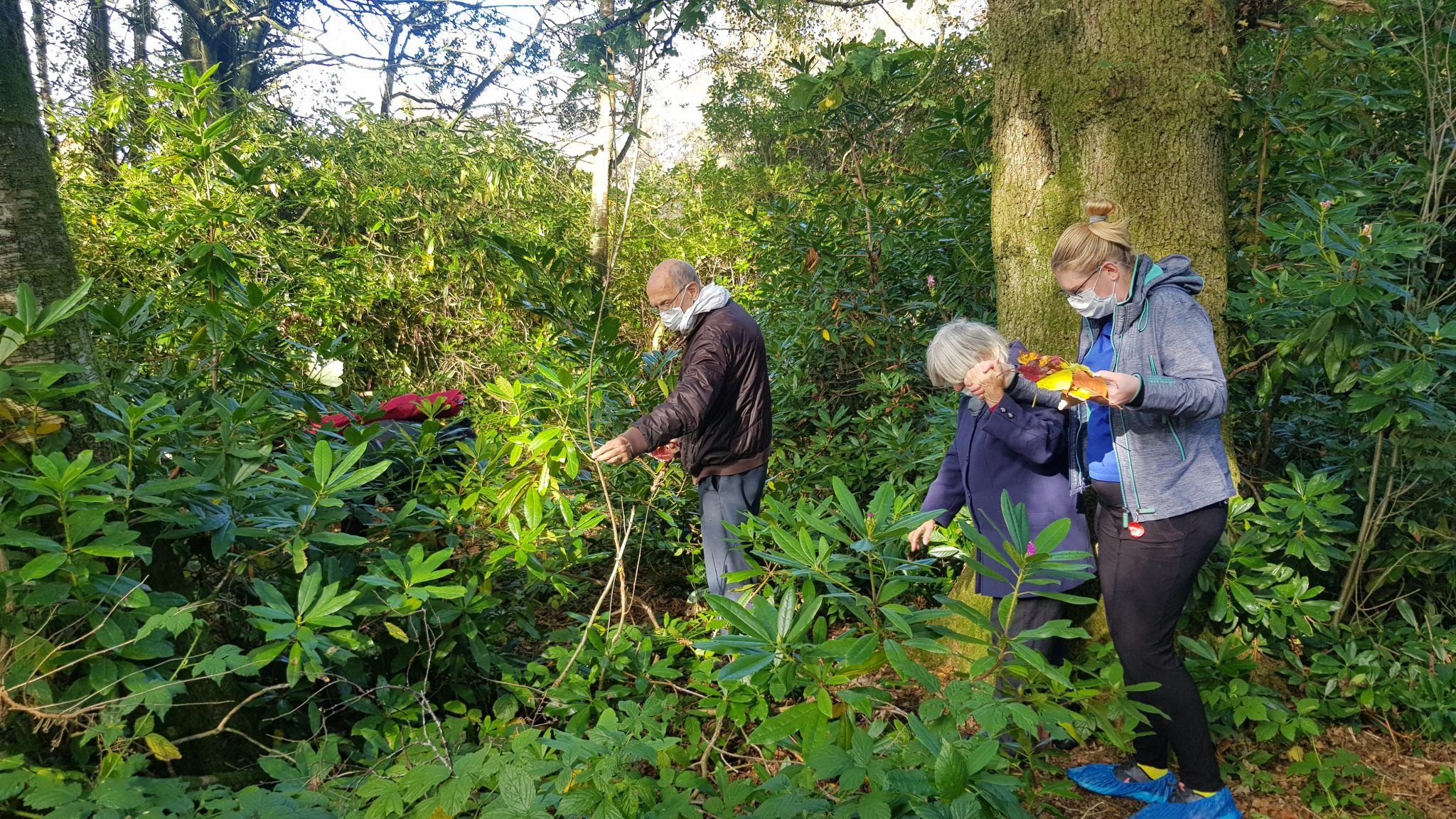 Dementia Friendly Walks at Whitworth Park Manchester Local Care